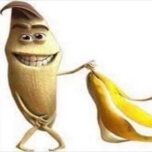 Meet your Posher, Max